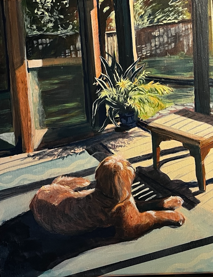 Afternoon Light
